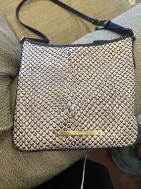 Brahmin Metallic Silver Snake-Embossed Crossbody with Black Trim